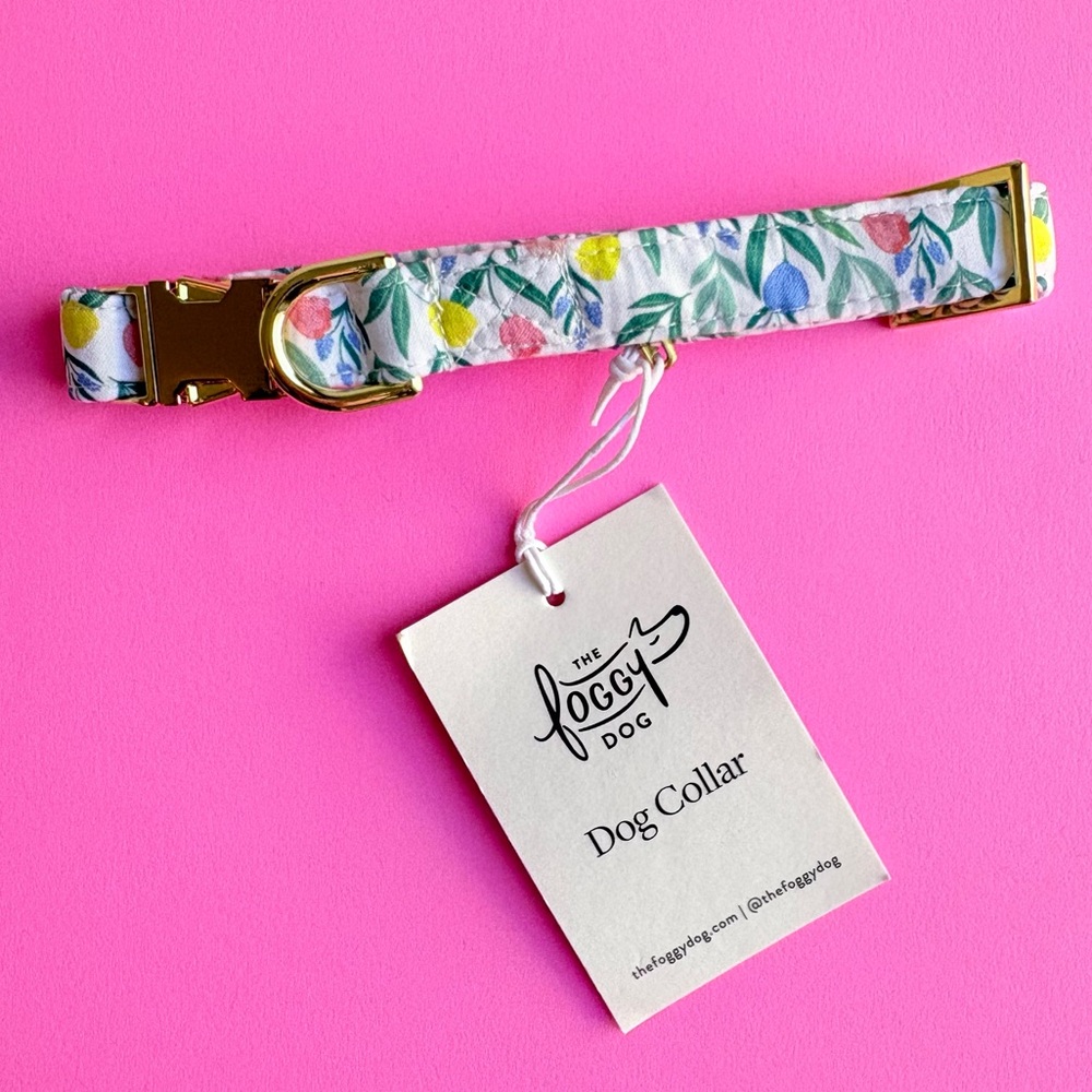 The Foggy Dog Tulip Garden Dog Collar Small Gold Hardware Spring Floral Pet NWT